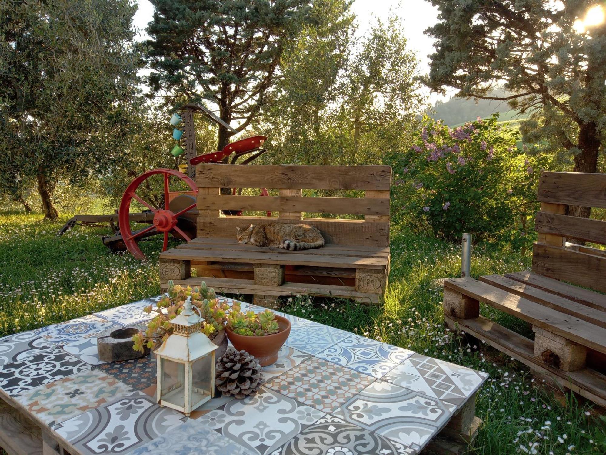 Agriturismo Santa Bruna Volterra Exteriér fotografie