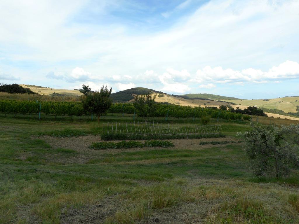 Agriturismo Santa Bruna Volterra Exteriér fotografie